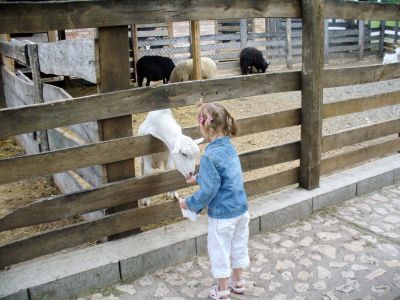 Kattints ide a teljes kép megtekintéséhez