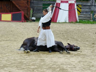 Kattints ide a teljes kép megtekintéséhez