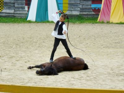 Kattints ide a teljes kép megtekintéséhez