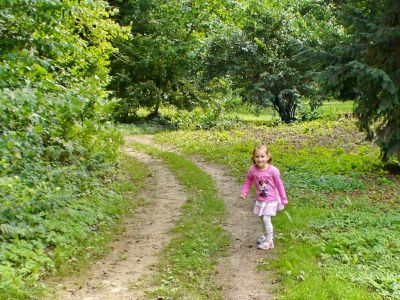 Kattints ide a teljes kép megtekintéséhez