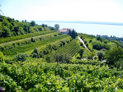 Kattints ide a teljes kép megtekintéséhez