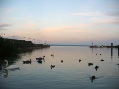 Kattints ide a teljes kép megtekintéséhez
