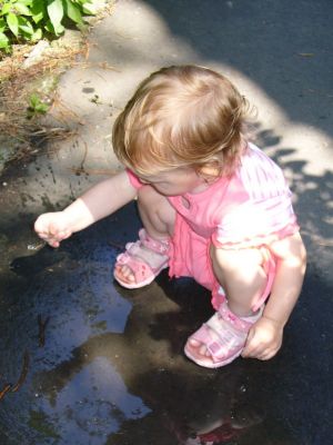 Kattints ide a teljes kép megtekintéséhez
