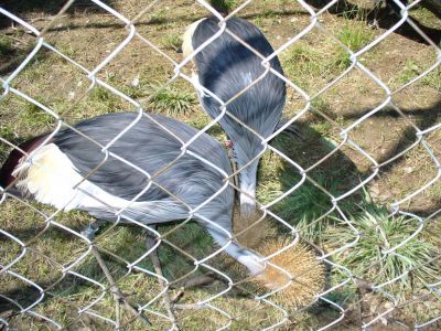 Kattints ide a teljes kép megtekintéséhez