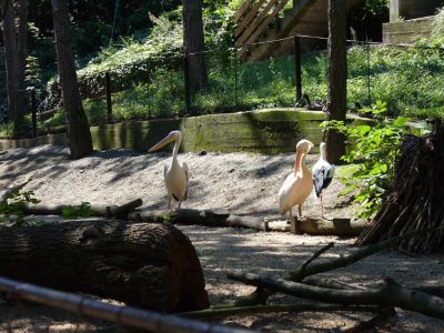 Kattints ide a teljes kép megtekintéséhez