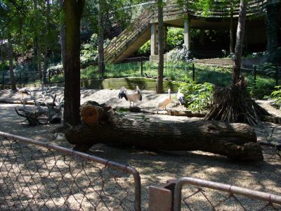 Kattints ide a teljes kép megtekintéséhez