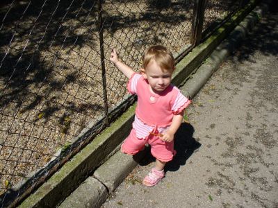 Kattints ide a teljes kép megtekintéséhez