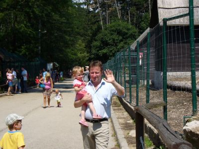 Kattints ide a teljes kép megtekintéséhez