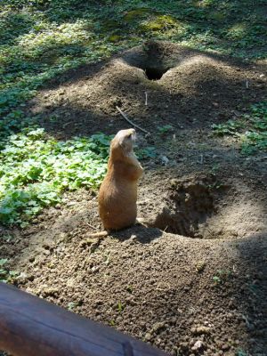 Kattints ide a teljes kép megtekintéséhez