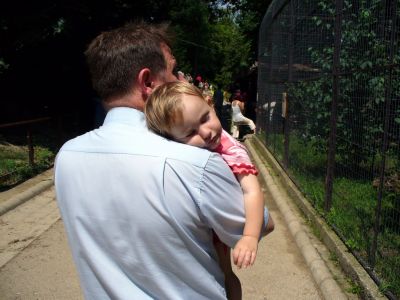 Kattints ide a teljes kép megtekintéséhez