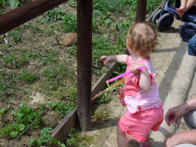 Kattints ide a teljes kép megtekintéséhez