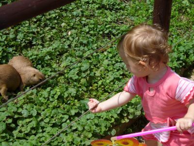 Kattints ide a teljes kép megtekintéséhez