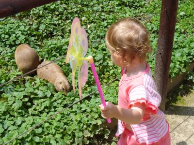 Kattints ide a teljes kép megtekintéséhez