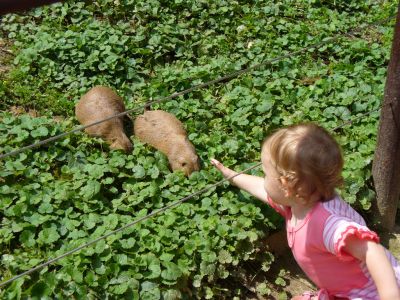 Kattints ide a teljes kép megtekintéséhez