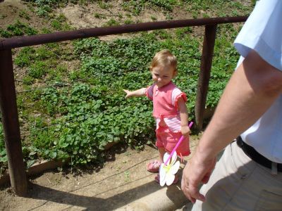 Kattints ide a teljes kép megtekintéséhez