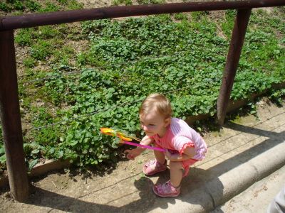 Kattints ide a teljes kép megtekintéséhez