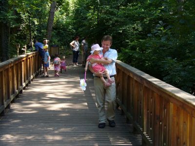 Kattints ide a teljes kép megtekintéséhez