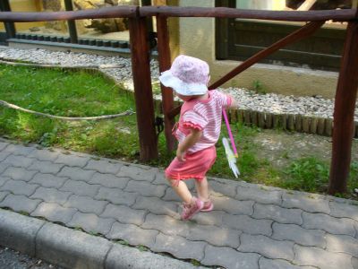 Kattints ide a teljes kép megtekintéséhez