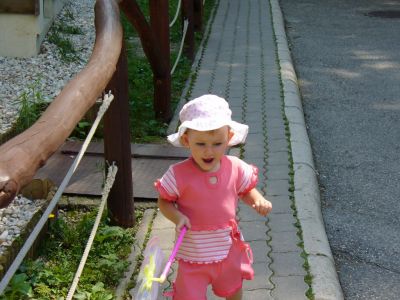 Kattints ide a teljes kép megtekintéséhez