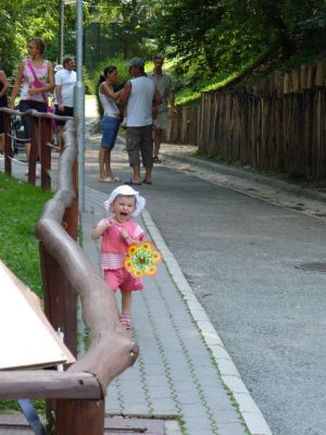 Kattints ide a teljes kép megtekintéséhez