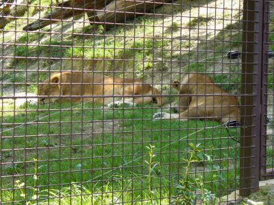Kattints ide a teljes kép megtekintéséhez