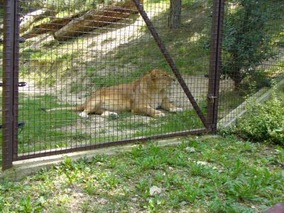 Kattints ide a teljes kép megtekintéséhez