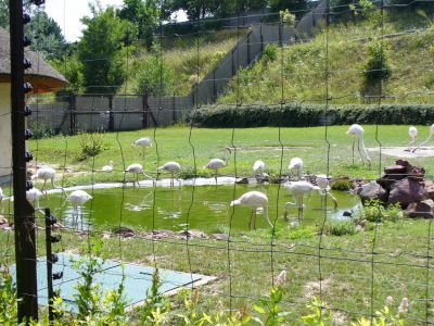 Kattints ide a teljes kép megtekintéséhez
