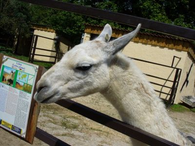 Kattints ide a teljes kép megtekintéséhez