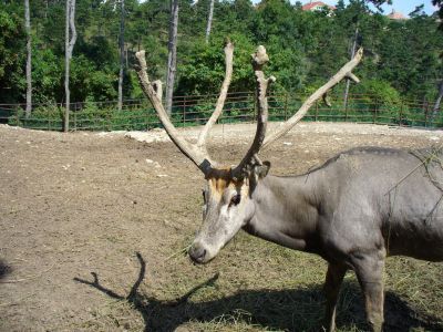 Kattints ide a teljes kép megtekintéséhez