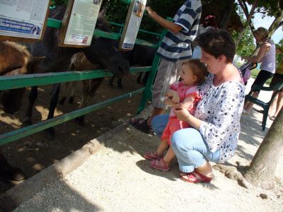 Kattints ide a teljes kép megtekintéséhez