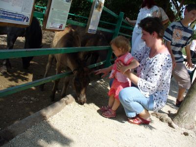Kattints ide a teljes kép megtekintéséhez