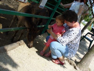 Kattints ide a teljes kép megtekintéséhez