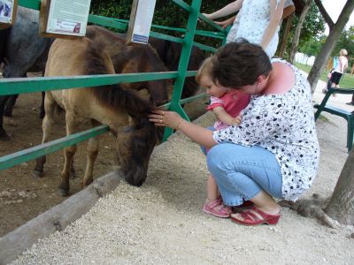 Kattints ide a teljes kép megtekintéséhez