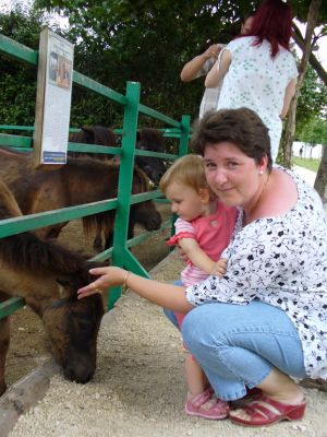 Kattints ide a teljes kép megtekintéséhez