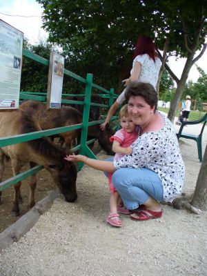 Kattints ide a teljes kép megtekintéséhez
