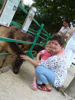 Kattints ide a teljes kép megtekintéséhez