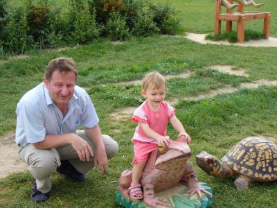 Kattints ide a teljes kép megtekintéséhez