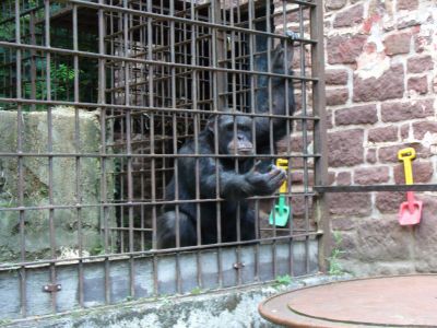 Kattints ide a teljes kép megtekintéséhez